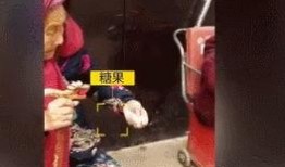 爆料吃糖果女孩视频,揭秘网络红人的甜蜜瞬间